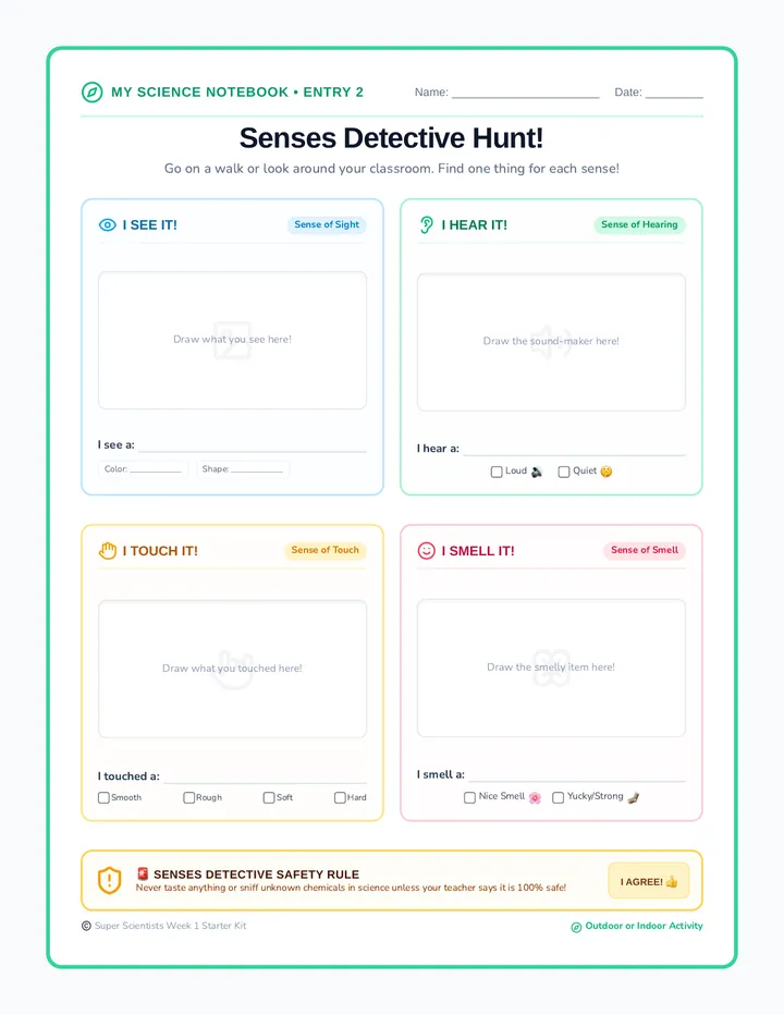 Senses Scavenger Hunt