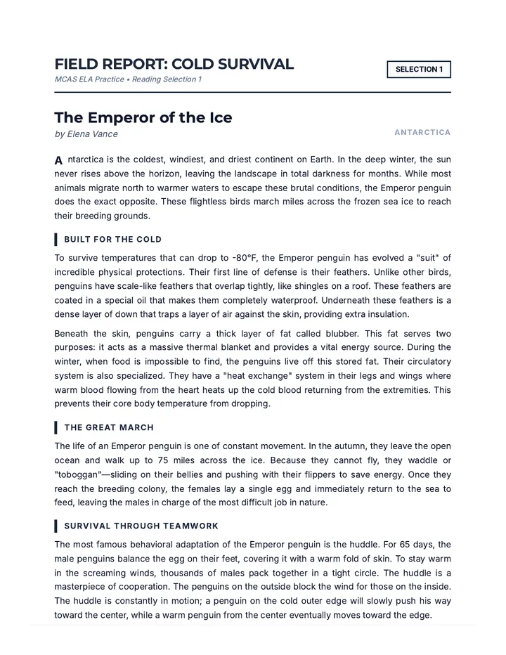 Survival Report Passages Document