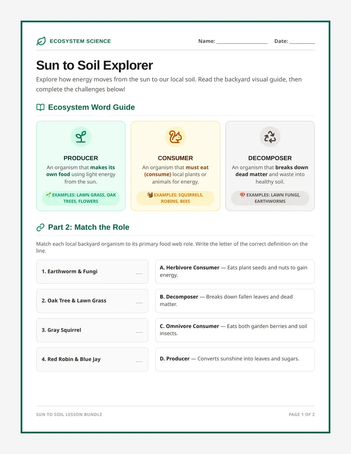 Sun to Soil Worksheet