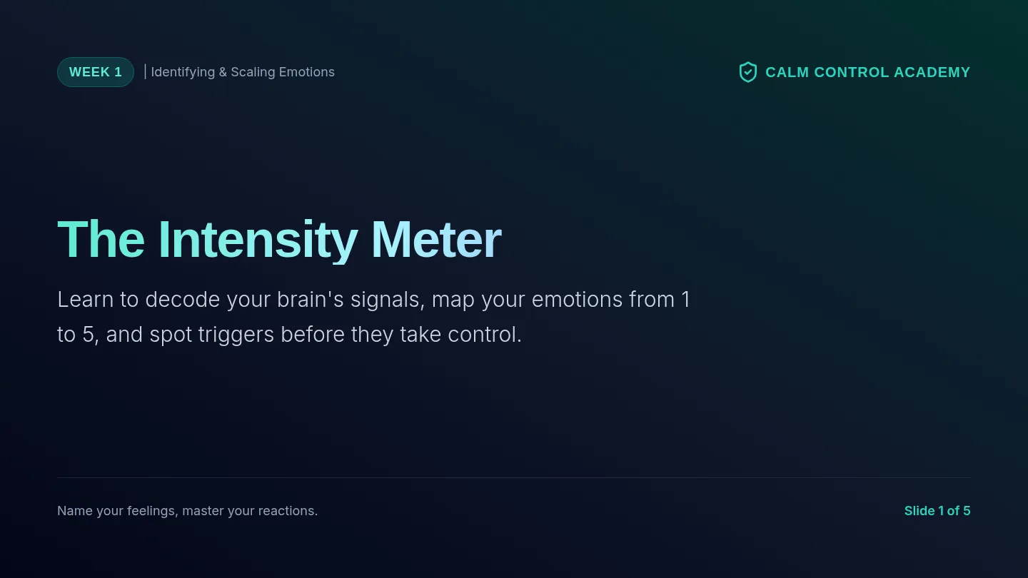 Intensity Meter Slides