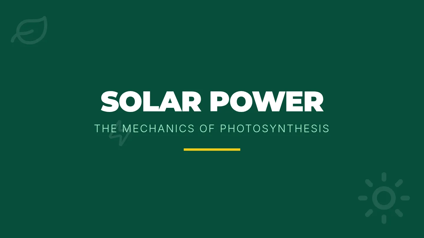 Solar Power Slides