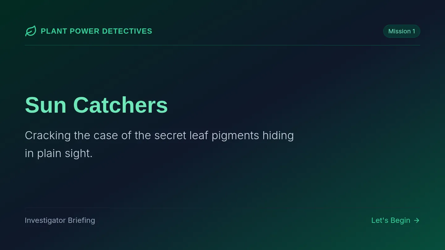 Sun Catchers Slides