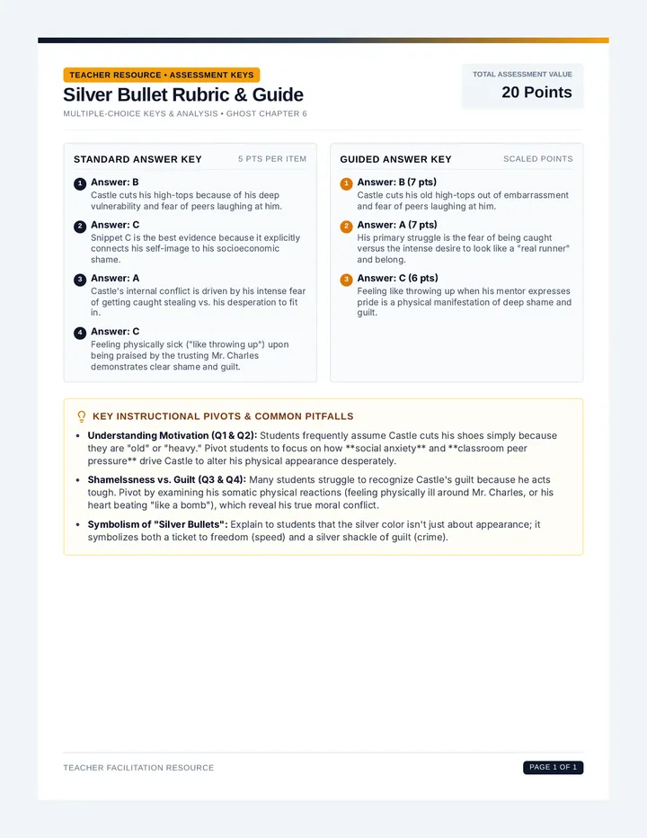 Silver Bullet Rubric Guide