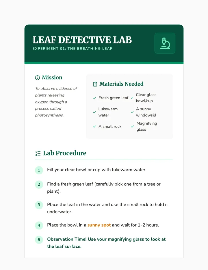 Leaf Lab Activity