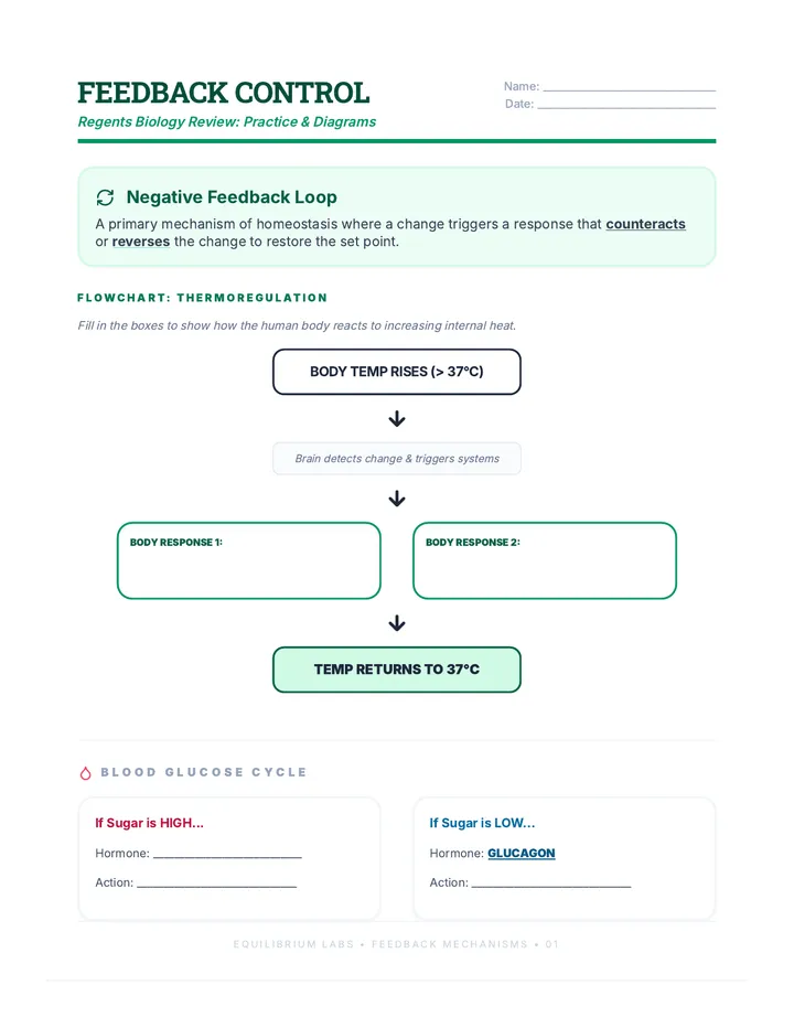 Feedback Control Practice