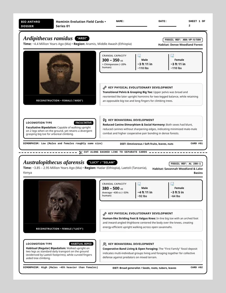 Ancient Ancestors Stat Cards