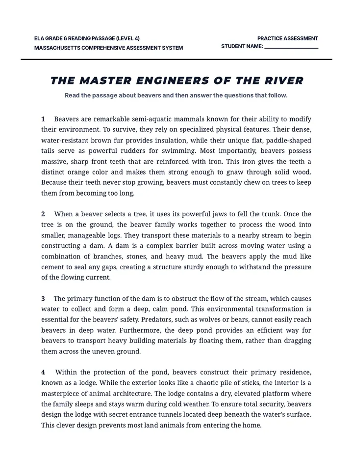 Beaver Builders Level 4 Worksheet
