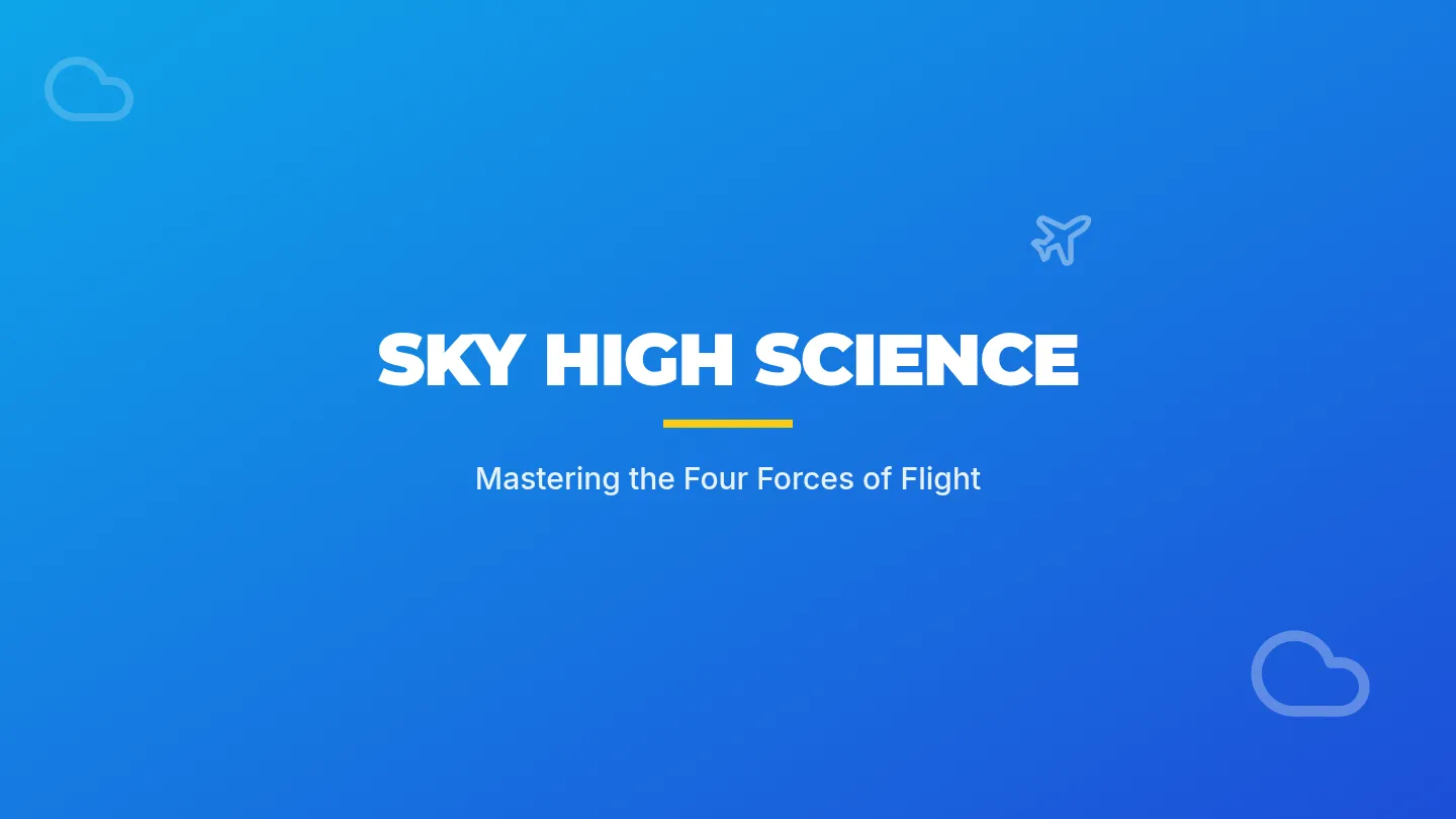 Sky High Slides