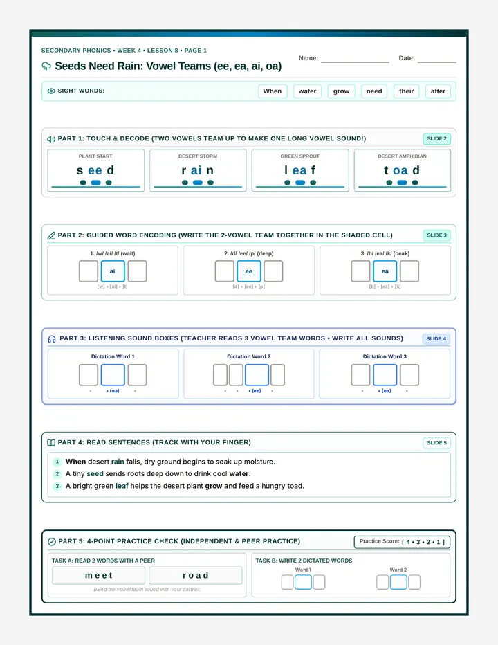 Seeds Rain Activity Sheet