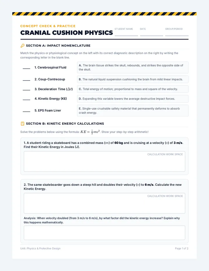 Cranial Cushion Worksheet