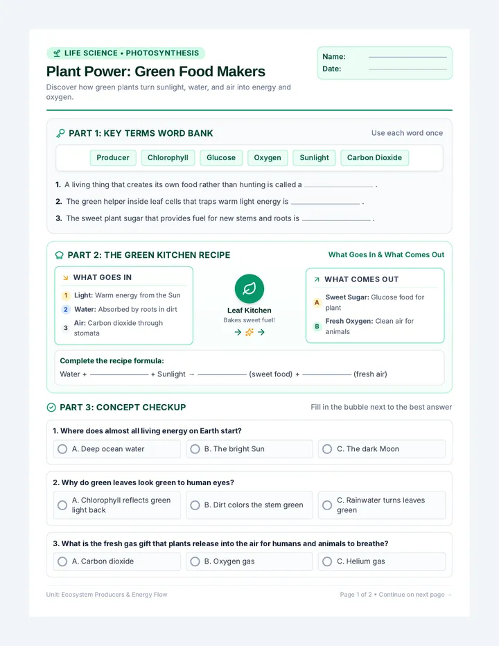 Plant Power Worksheet