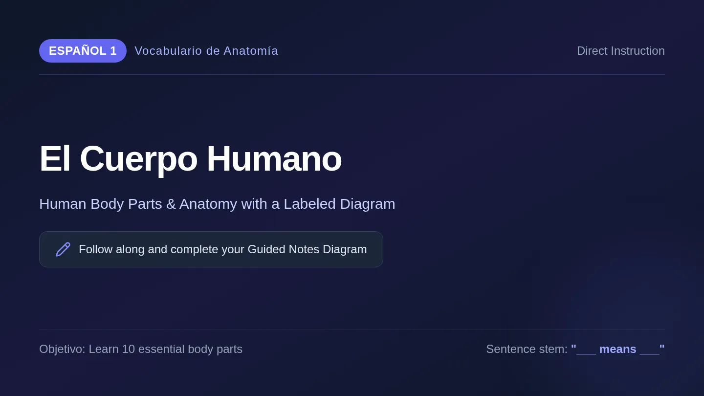 Body Diagram Slides