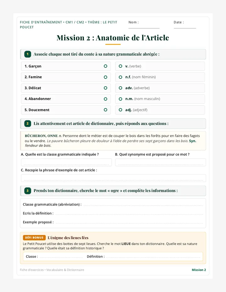 Anatomie Article Fiche Exercices
