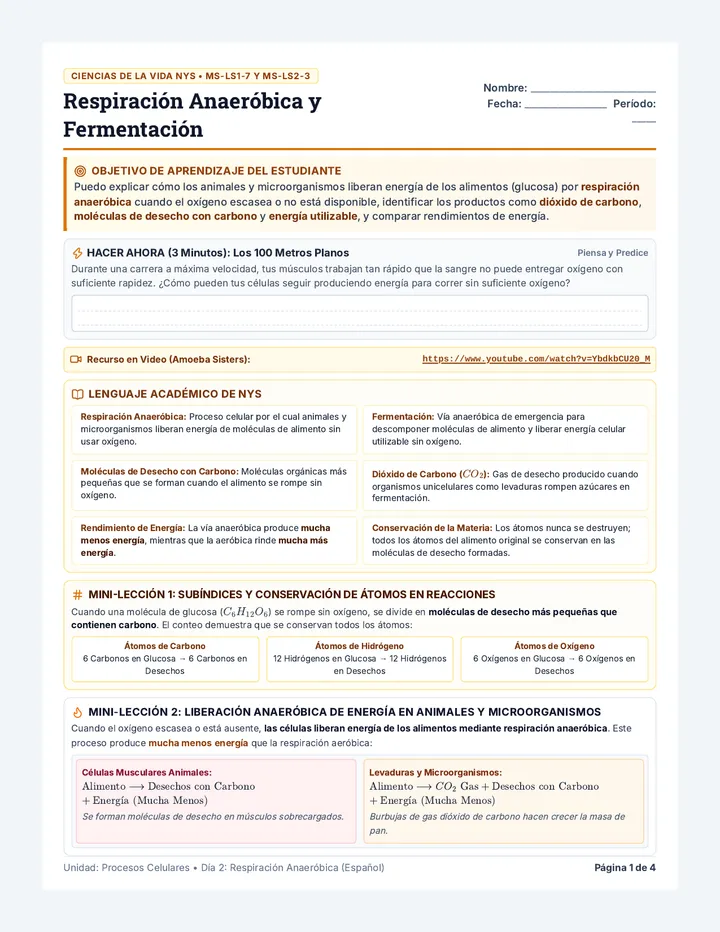 Respiracion Anaerobica Student Packet
