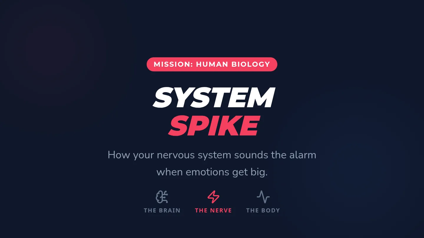 System Spike Slides