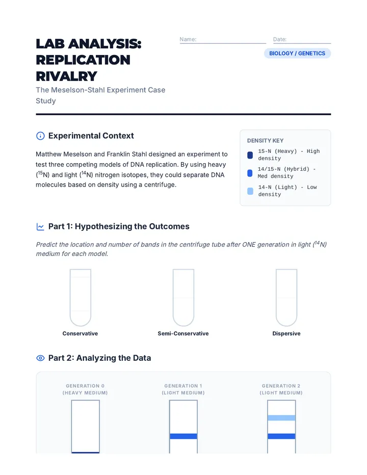 Replication Rivalry Worksheet