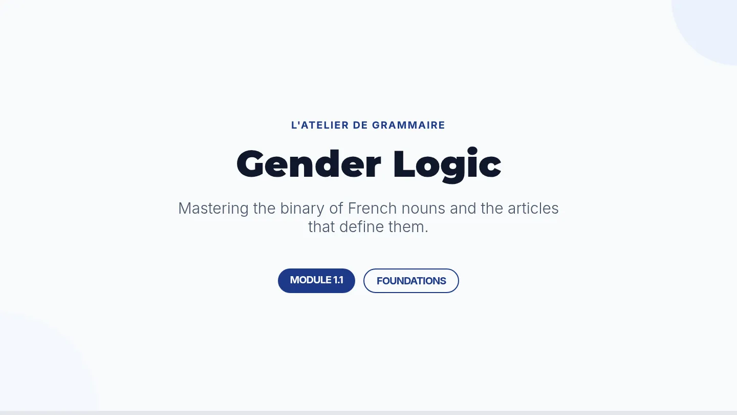 Gender Logic Slides