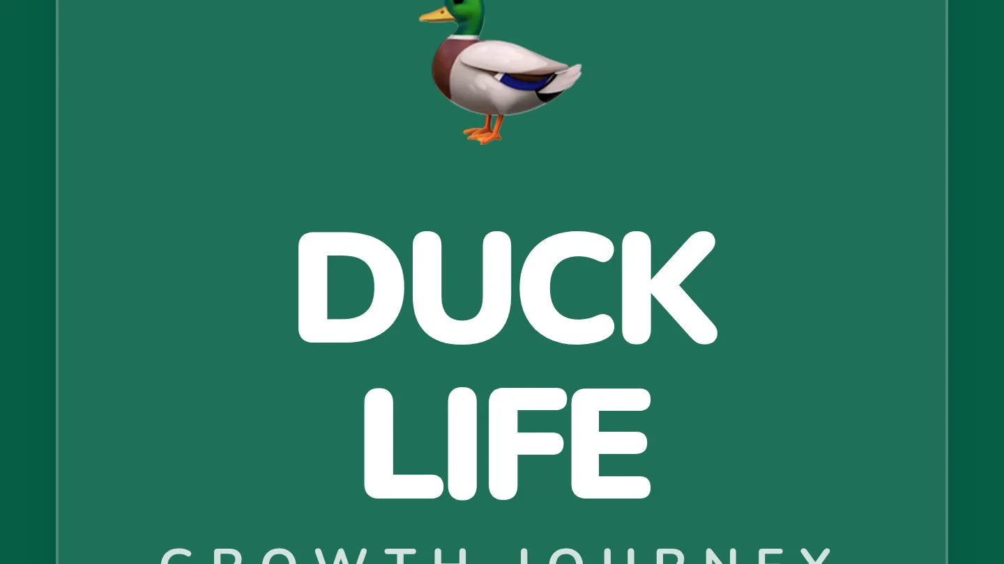 Duck Life Cycle Slides