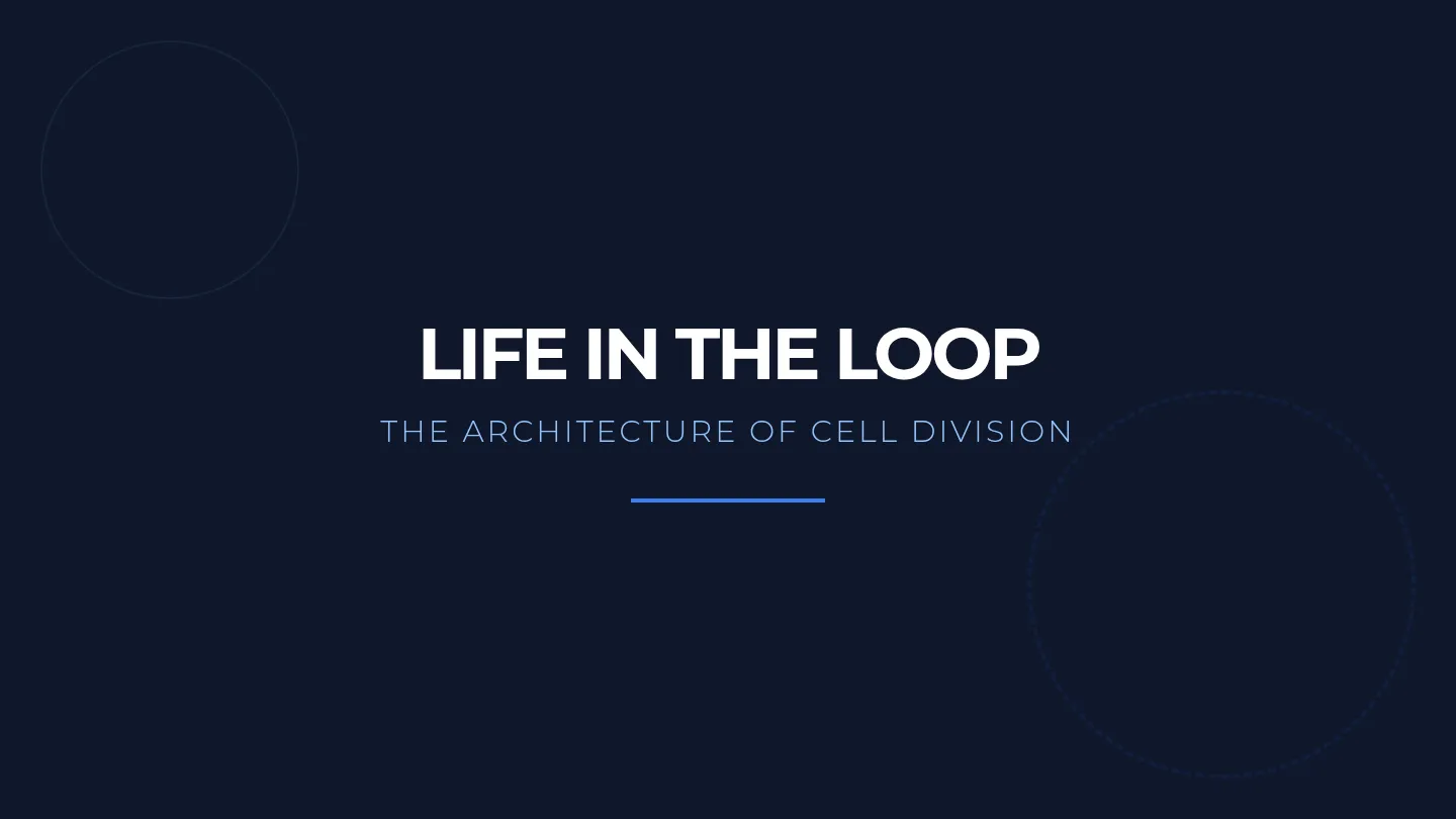 Life Loop Slides