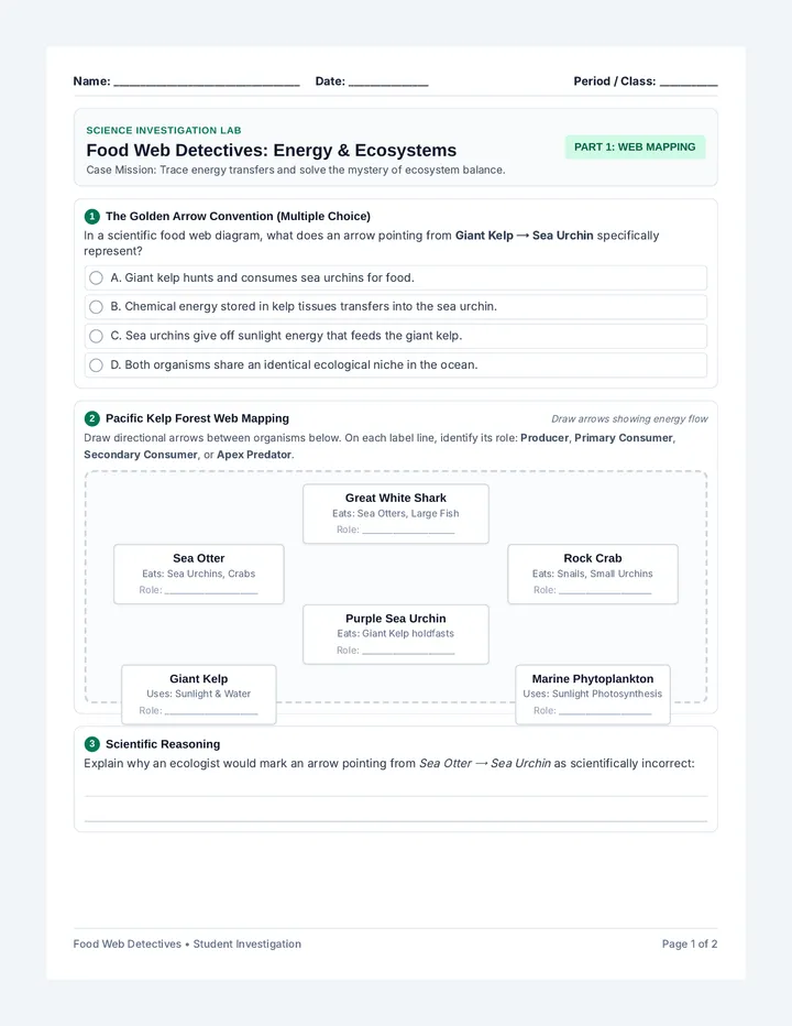 Food Web Detective Worksheet