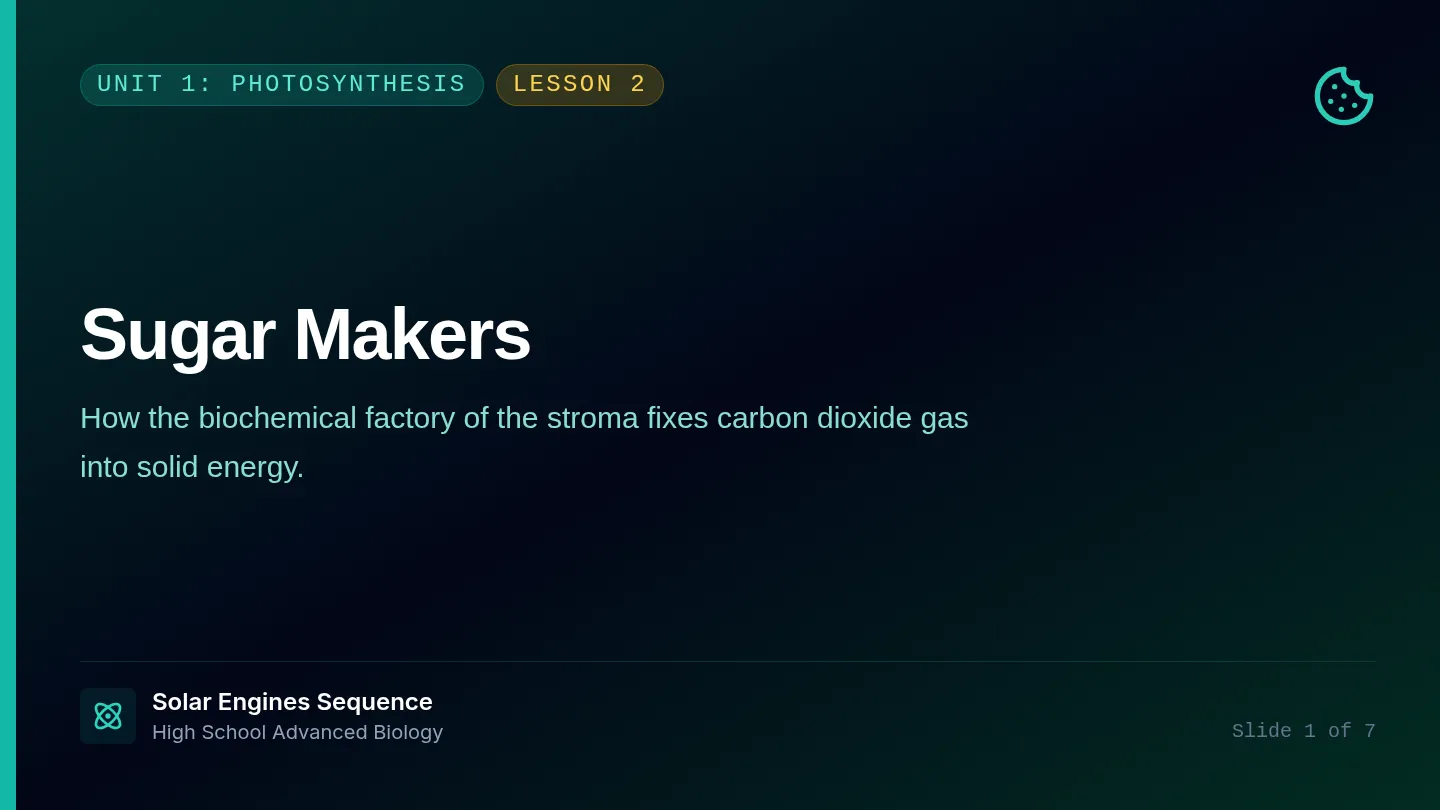 Sugar Makers Slides