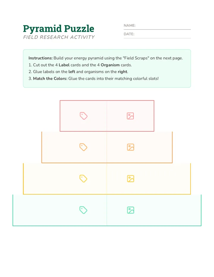 Pyramid Puzzle Activity
