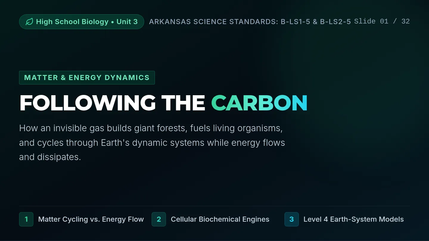 Following Carbon Slides