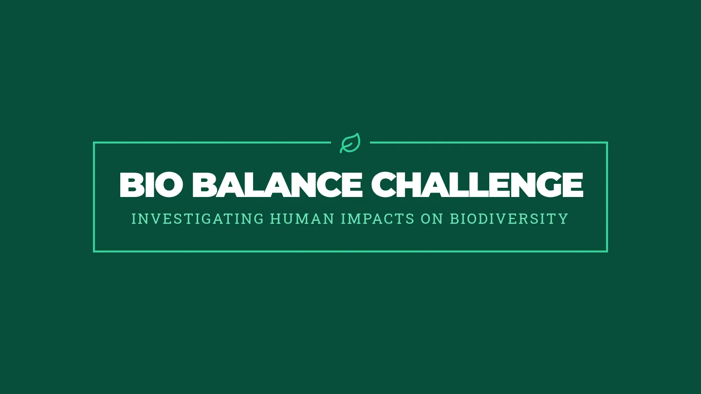 Bio Balance Slides Game Edition