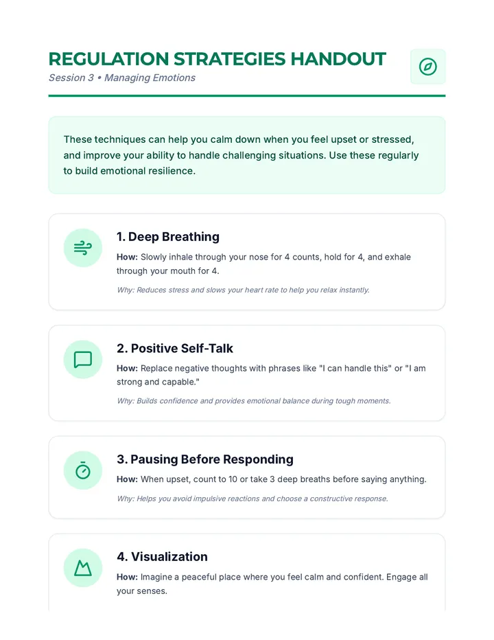Emotion Regulation Strategies Handout Activity