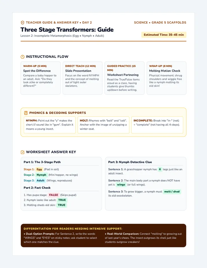 Three Stages Teacher Guide