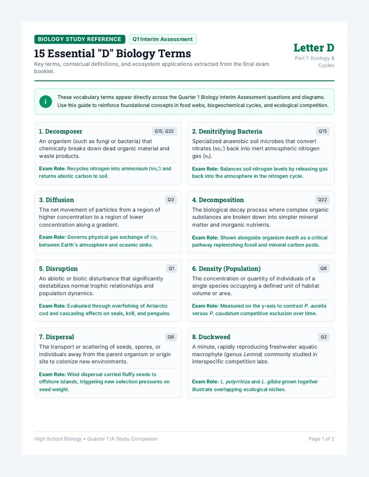 Exam D Terms Glossary