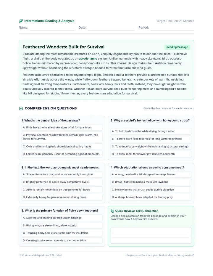 Feathered Flight Reading Worksheet