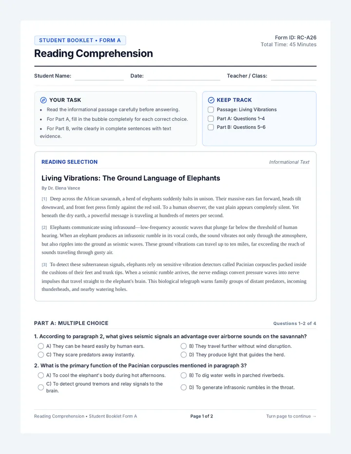 Reading Mastery Assessment