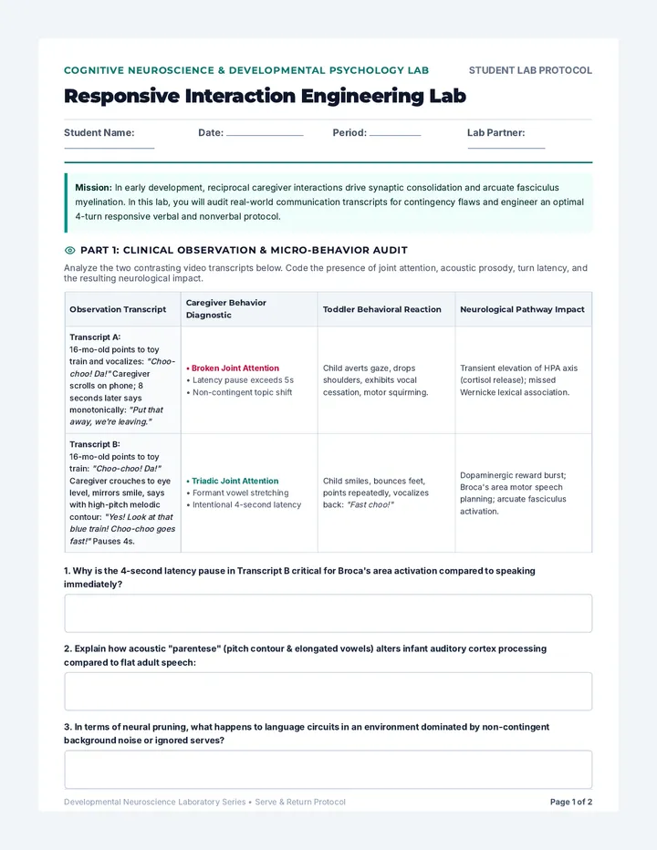 Responsive Interaction Lab Activity