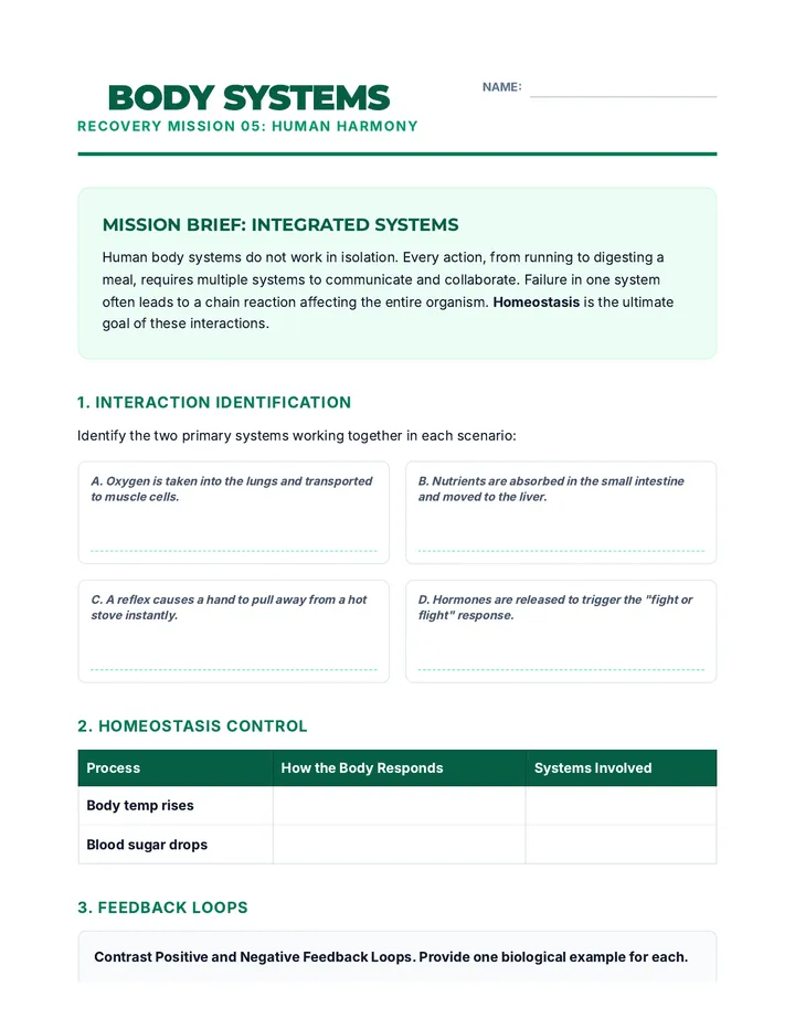 Body Systems Recovery Guide
