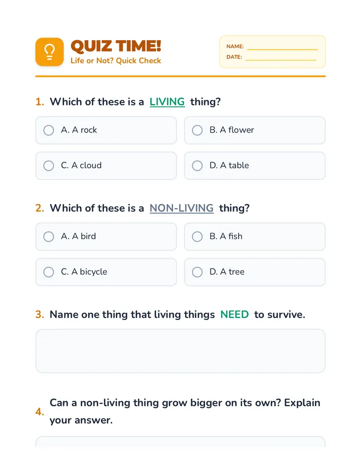 Quiz Time Assessment