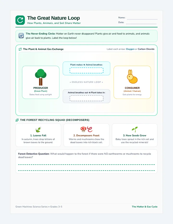 Nature Cycle Worksheet