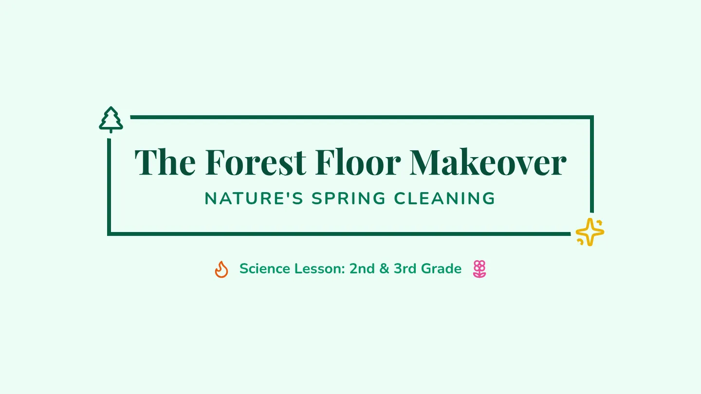 Makeover Slides