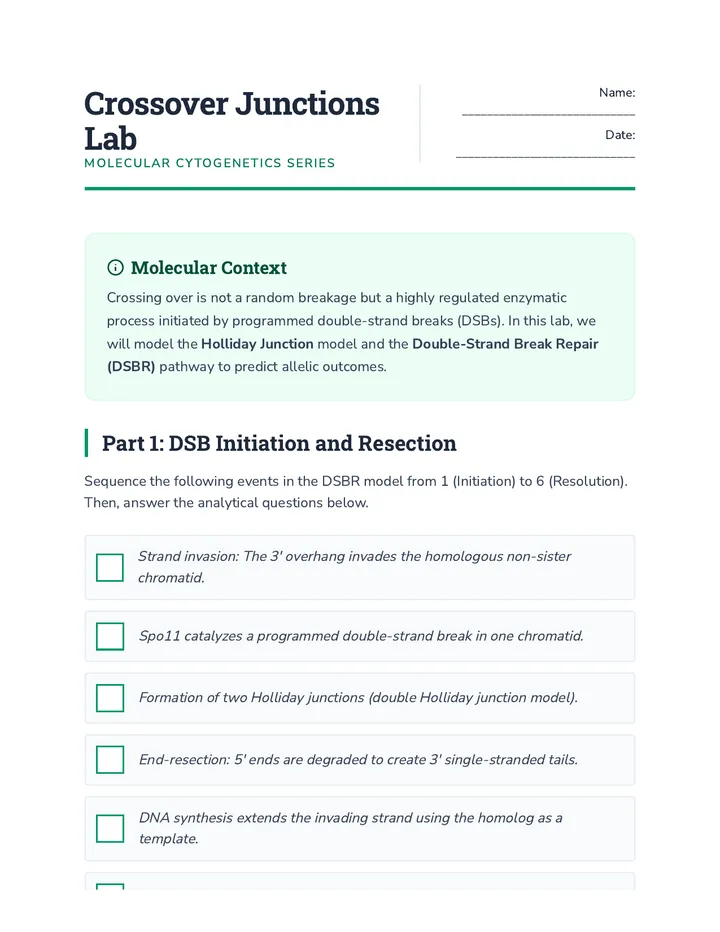 Crossover Junctions Lab