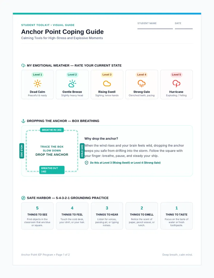 Anchor Point Coping Workbook