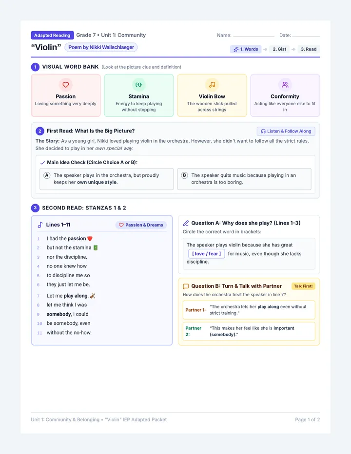 Violin Adapted Reading Packet