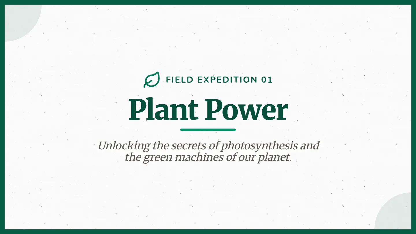 Plant Power Slides