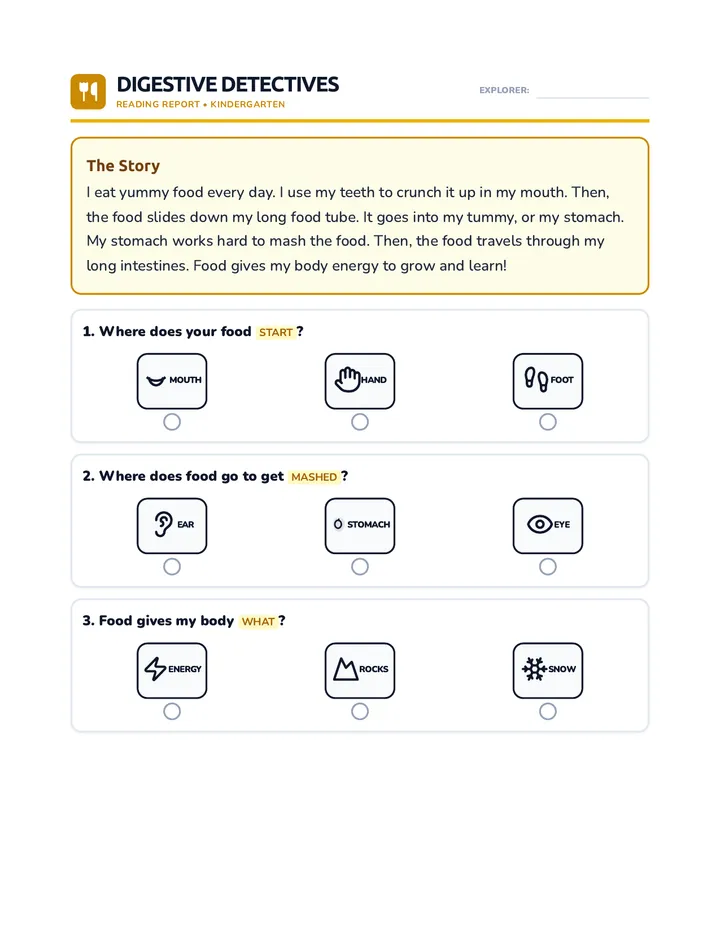 Digestive Detectives Story Worksheet