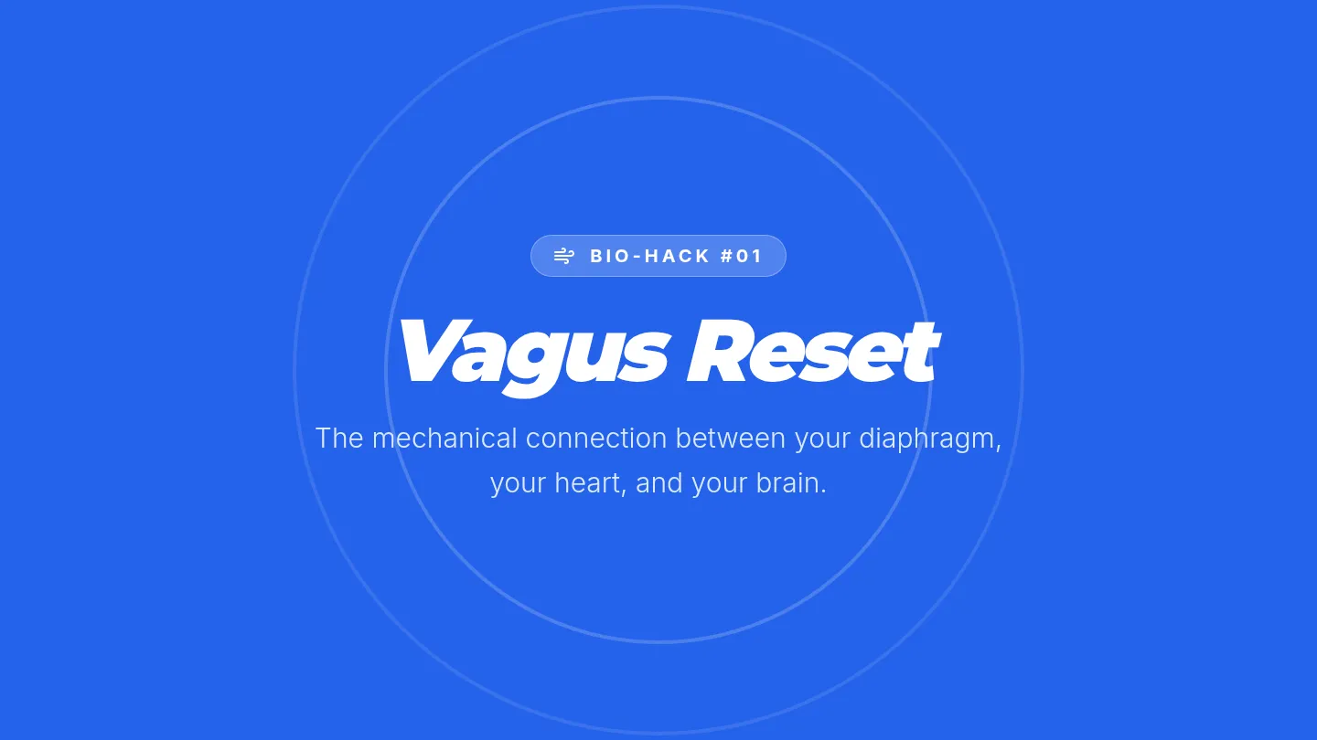 Vagus Reset Slides