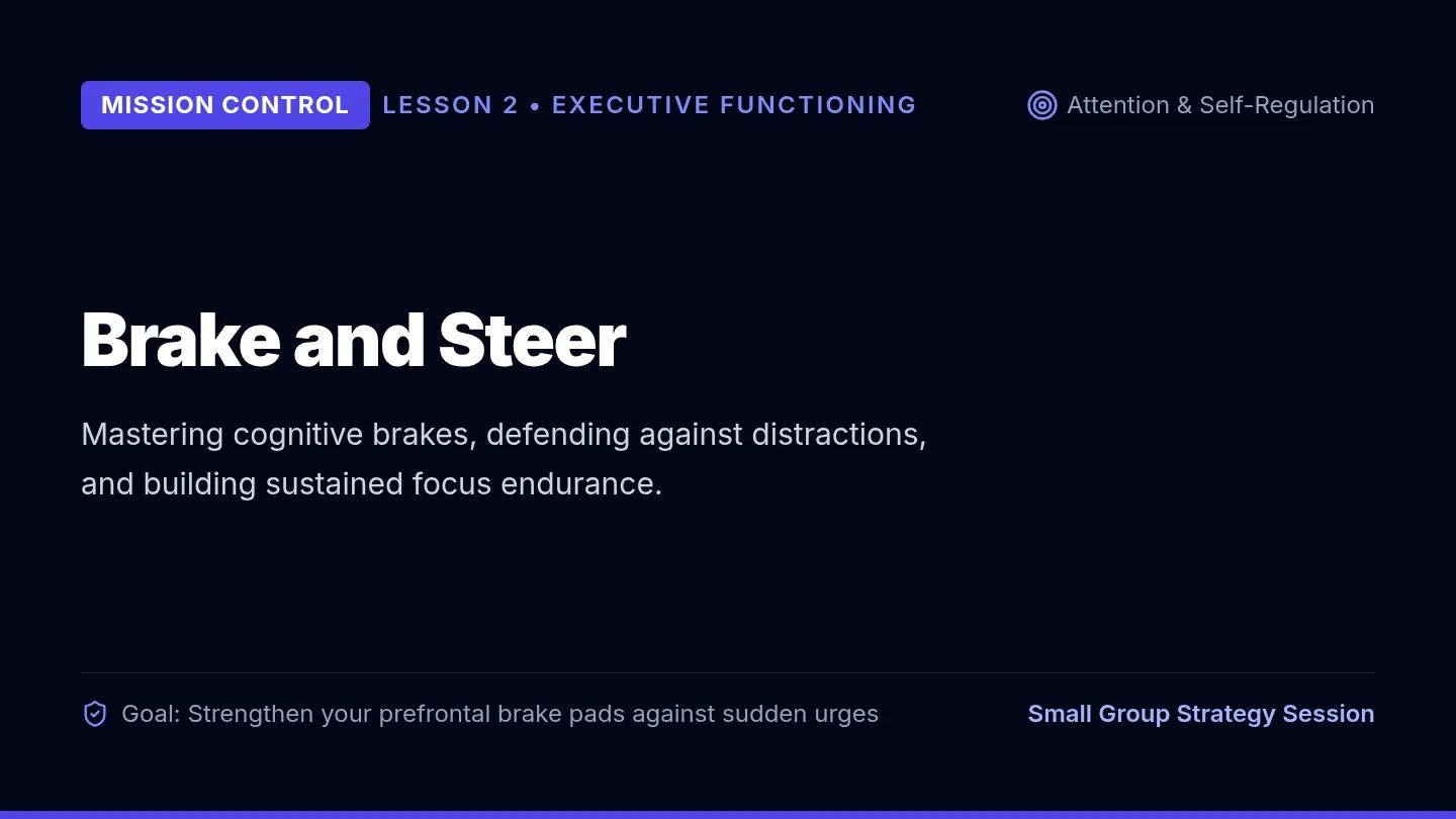Brake and Steer Slides