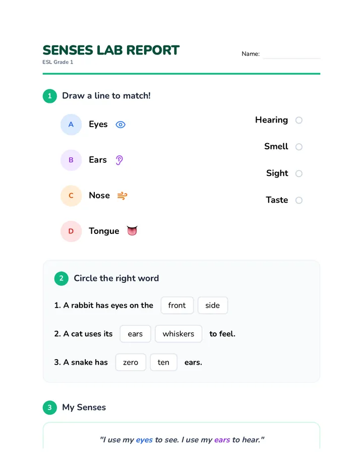 Animal Senses ESL Lab Report