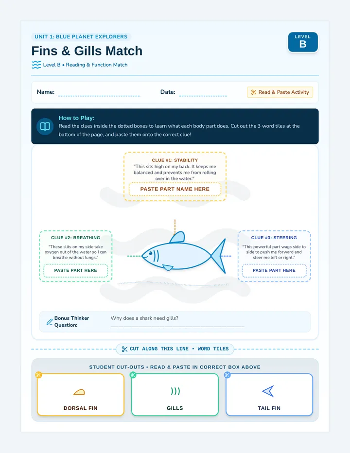 Fins Gills Reading Match