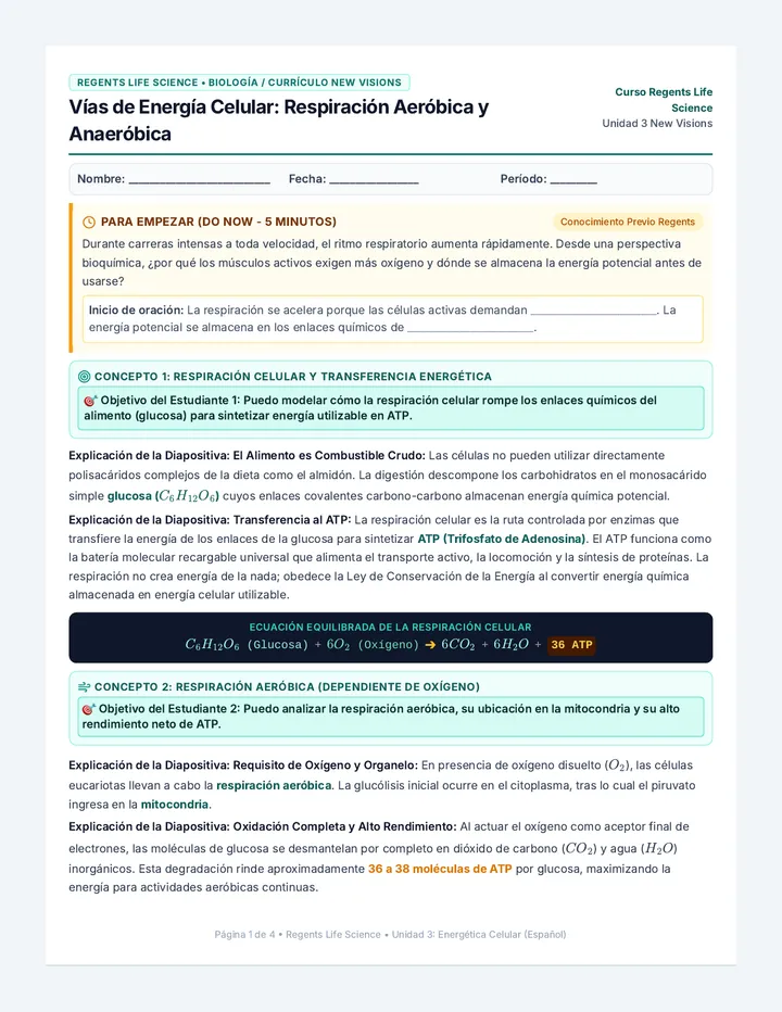 Regents Respiration Spanish Handout