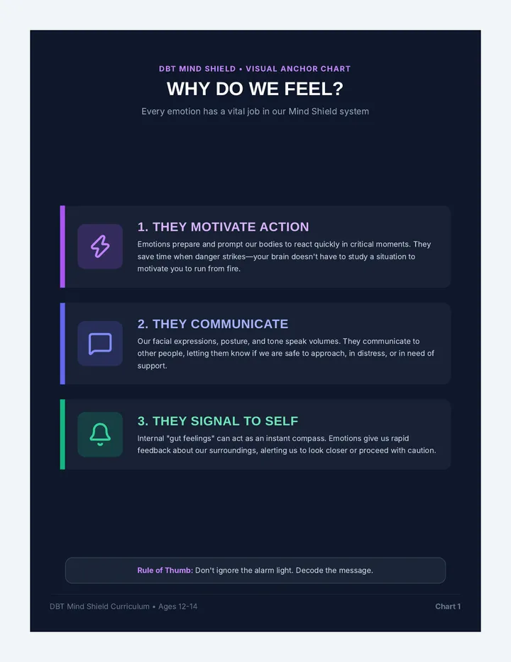 Emotion Regulation Anchor Charts