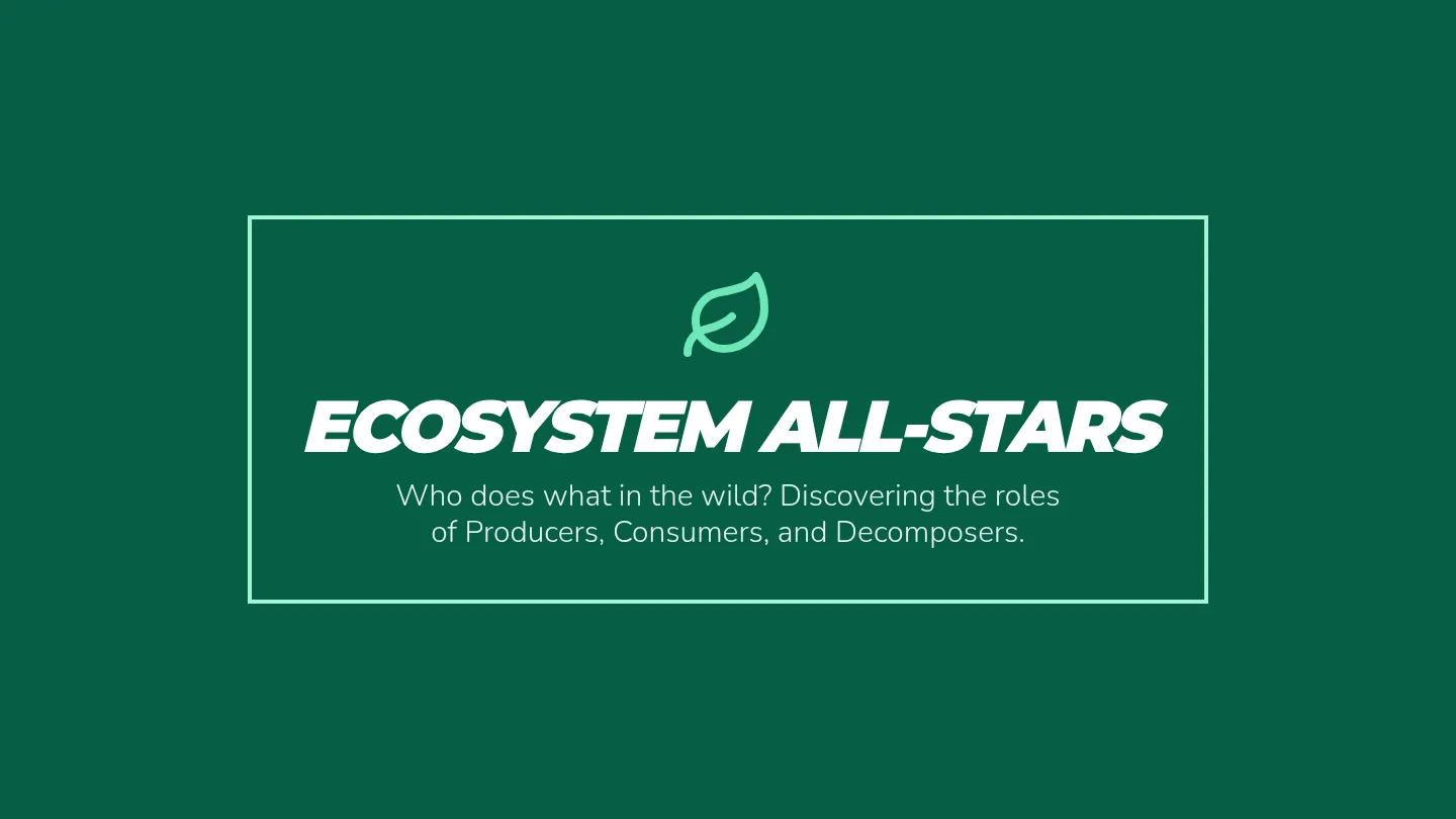 Ecosystem Roles • Lesson • Lenny.com
